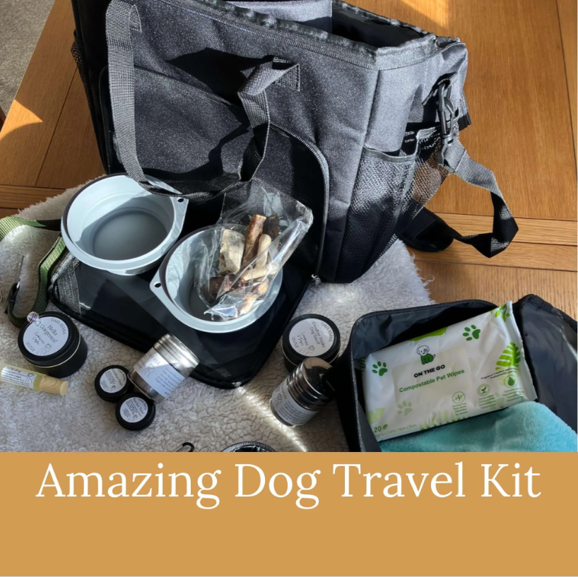 Dog travel set Gaia Asana